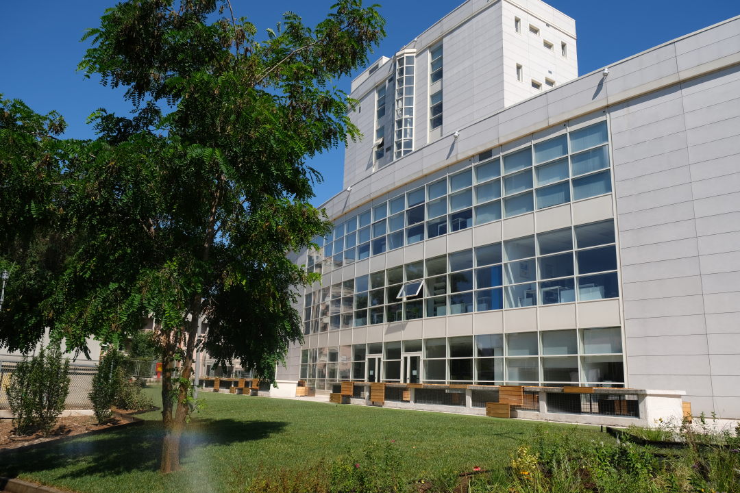 La Biblioteca Nazionale di Potenza 50 anni dopo la sua Istituzione